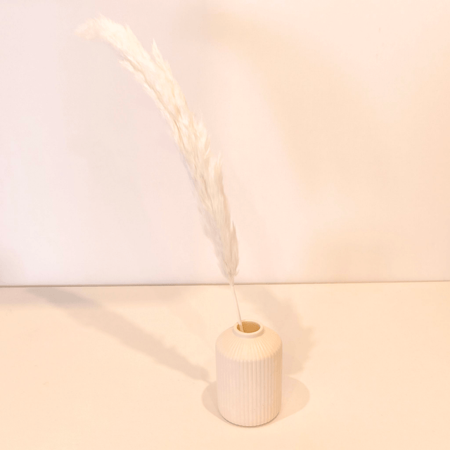 Herbe de la Pampa séchée – Tige naturelle plumeuse pour bouquets secs et déco tendance