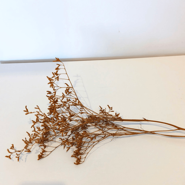 Limonium stabilisé – Fleur naturelle légère pour bouquets et compositions florales durables