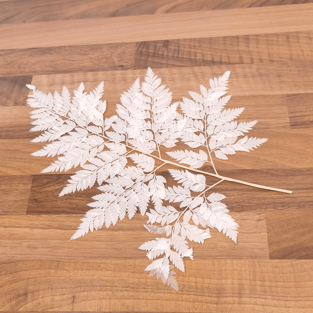 Fougère cuir stabilisée – Feuille texturée et souple pour compositions florales élégantes et durables