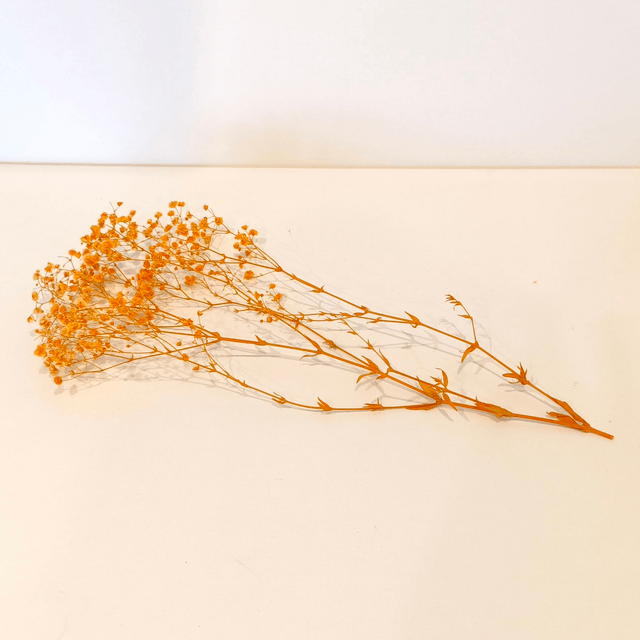 Gypsophile stabilisé – Fleur légère et naturelle pour bouquets, déco florale et mariages