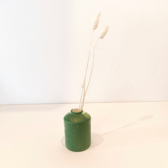 Phalaris séché – Épis naturels décoratifs pour bouquets secs et compositions florales texturées