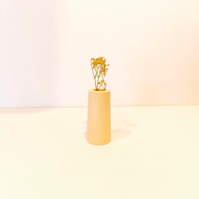 "Solune" Mini vase artisanal en gypse avec fleurs séchées – déco minimaliste  