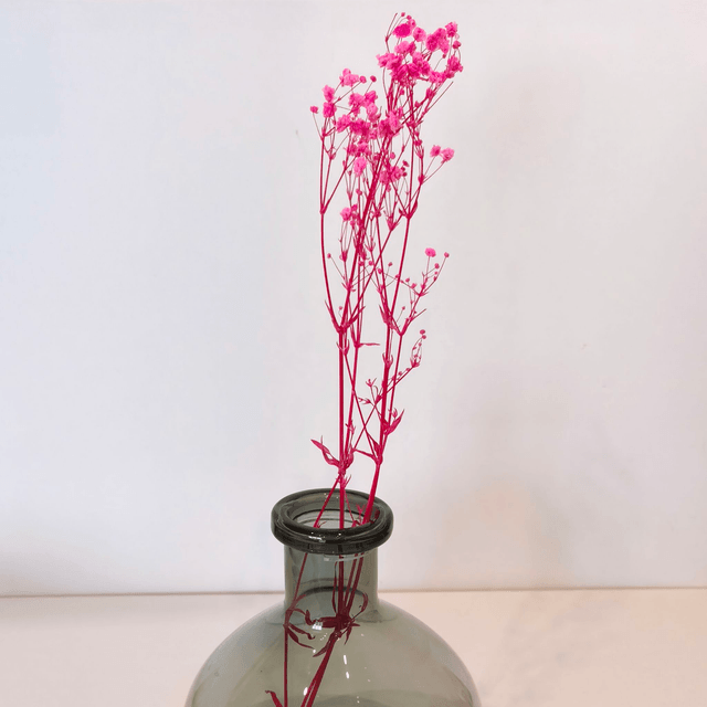 Gypsophile stabilisé – Fleur légère et naturelle pour bouquets, déco florale et mariages