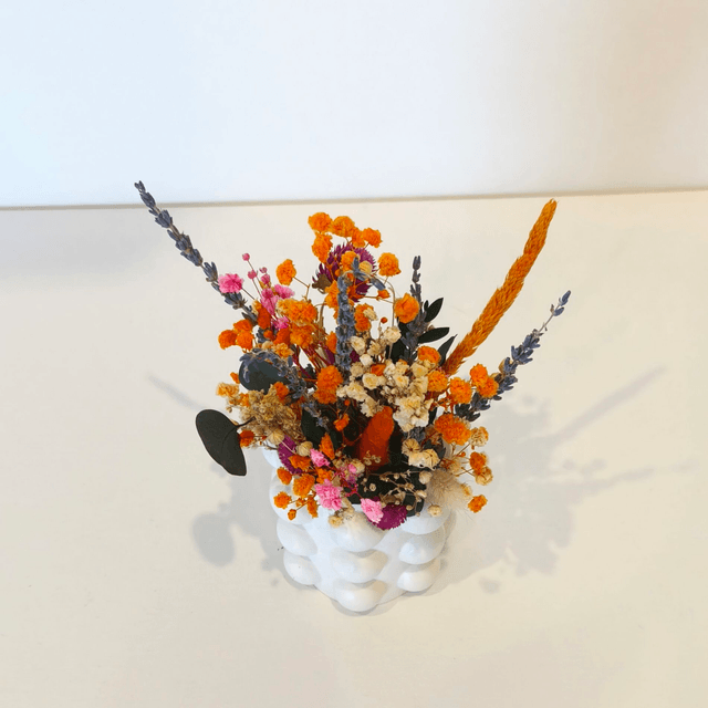Fiesta Flora – Bouquet fleurs séchées dans vase en gypse fait main