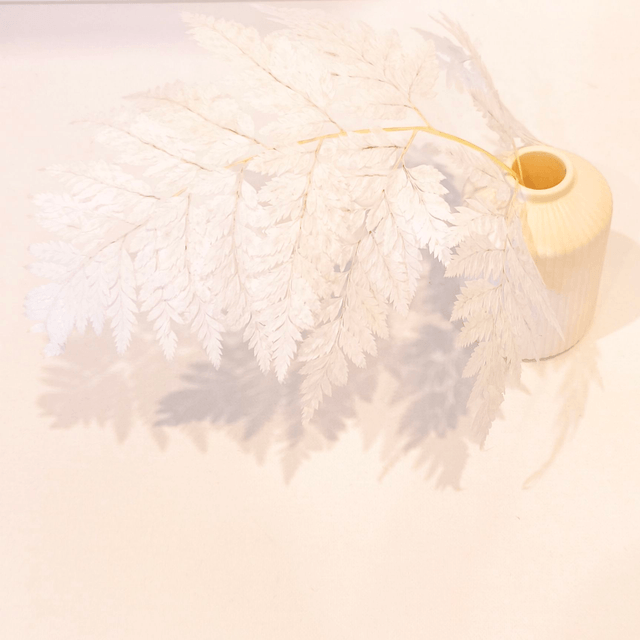Fougère cuir stabilisée – Feuille texturée et souple pour compositions florales élégantes et durables