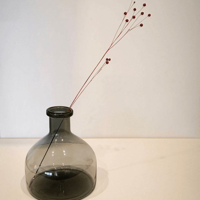 Lin séché – Tiges naturelles à capsules décoratives pour bouquets secs et compositions végétales