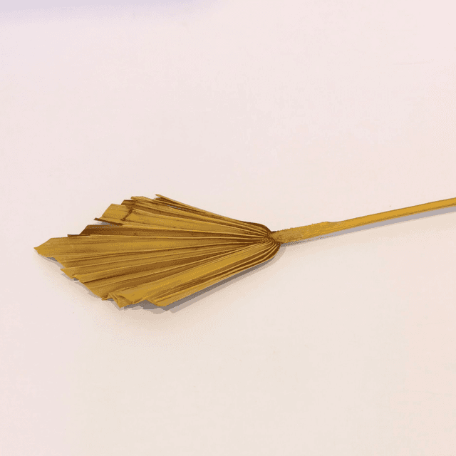 Palm Spear séché – Feuille de palmier naturelle en éventail pour bouquets secs et déco tendance